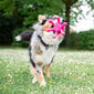 Rotaļļieta suņiem Kiwi Walker TPG Mini, rozā цена и информация | Suņu rotaļlietas | 220.lv