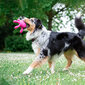 Rotaļļieta suņiem Kiwi Walker TPG Mini, rozā цена и информация | Suņu rotaļlietas | 220.lv