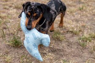 Плюшевая игрушка Kiwi Walker для собак - ПТИЦА цена и информация | Игрушки для собак | 220.lv