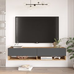 TV skapītis Asir, 140x29,1x31,6cm, brūns/melns цена и информация | Тумбы под телевизор | 220.lv