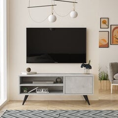 TV galdiņš Asir, 110x44x40cm, pelēks cena un informācija | TV galdiņi | 220.lv