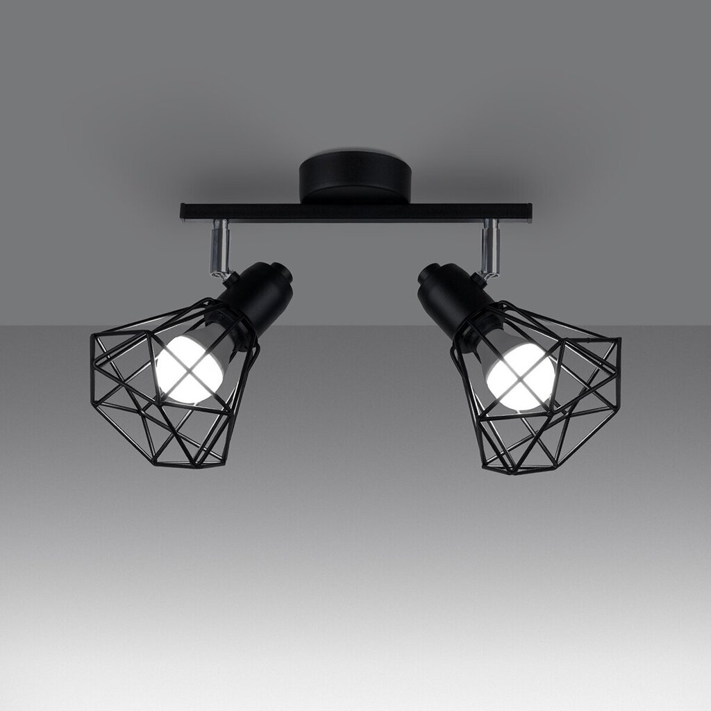 Griestu lampa ARTEMIS 2 melns цена и информация | Griestu lampas | 220.lv