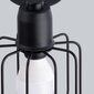 Griestu lampa BELUCI 2 melns cena un informācija | Griestu lampas | 220.lv