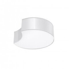 Griestu lampa CIRCLE 1 balts цена и информация | Потолочные светильники | 220.lv