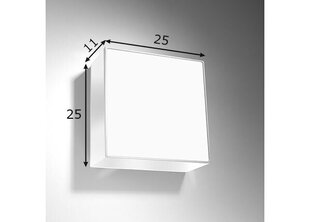 Griestu lampa HORUS balts цена и информация | Потолочные светильники | 220.lv