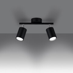 Потолочный светильник Lemmi цена и информация | Потолочные светильники | 220.lv