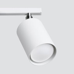 Griestu lampa LEMMI 3 balts цена и информация | Потолочные светильники | 220.lv