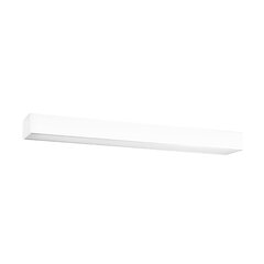 Plafond PINNE 67 white THORO TH.041 цена и информация | Потолочные светильники | 220.lv