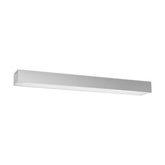 Plafond PINNE 67 grey THORO TH.043 цена и информация | Потолочные светильники | 220.lv