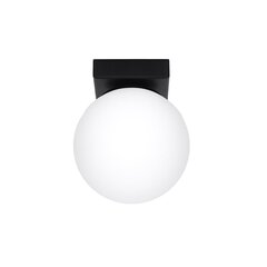 Потолочный светильник Sollux Yoli цена и информация | Потолочные светильники | 220.lv