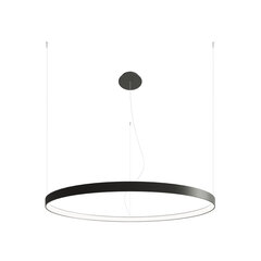 Chandelier RIO 110 black 4000K THORO TH.112 цена и информация | Настенный/подвесной светильник Eye Spot 11 BL, чёрный | 220.lv