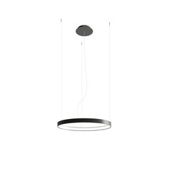 Chandelier RIO 55 black 3000K THORO TH.106 цена и информация | Люстры | 220.lv