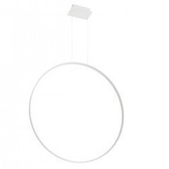 Pendant lamp RIO 110 white 4000K THORO TH.123 цена и информация | Настенный/подвесной светильник Eye Spot 11 BL, чёрный | 220.lv