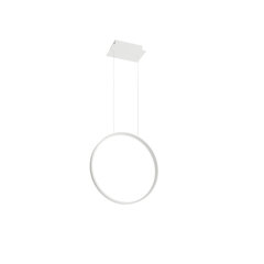 Pendant lamp RIO 55 white 4000K THORO TH.115 цена и информация | Настенный/подвесной светильник Eye Spot 11 BL, чёрный | 220.lv