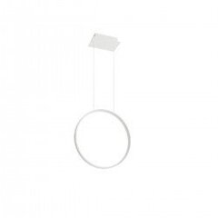 Pendant lamp RIO 55 white 4000K THORO TH.115 цена и информация | Настенный/подвесной светильник Eye Spot 11 BL, чёрный | 220.lv