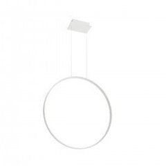 Pendant lamp RIO 78 white 4000K THORO TH.119 цена и информация | Настенный/подвесной светильник Eye Spot 11 BL, чёрный | 220.lv