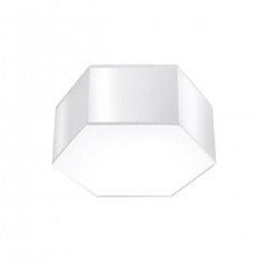 Plafond SUNDE 13 white SPANISH ORANGE SL.1057 цена и информация | Потолочные светильники | 220.lv