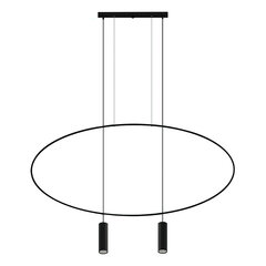 Pendant lamp HOLAR 2 black THORO TH.017CZ цена и информация | Люстры | 220.lv