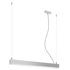 Pendant lamp PINNE 67 grey THORO TH.034 цена и информация | Люстры | 220.lv