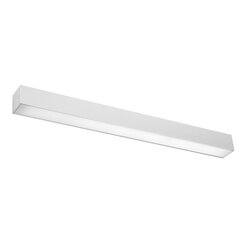 Wall lamp PINNE 67 grey THORO TH.037 цена и информация | Настенные светильники | 220.lv