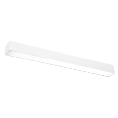 Wall lamp PINNE 67 white THORO TH.038 цена и информация | Настенные светильники | 220.lv