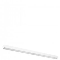 Wall lamp PINNE 117 white THORO TH.071 цена и информация | Настенные светильники | 220.lv