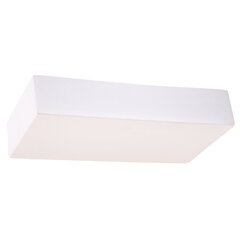 Sollux sienas lampa Taugan цена и информация | Настенные светильники | 220.lv