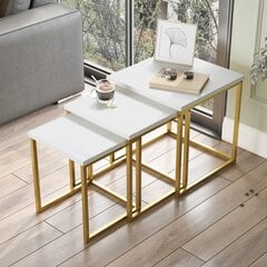 Dīvāna galds Asir, 40x41,8x40cm, balts/zeltains cena un informācija | Žurnālgaldiņi | 220.lv
