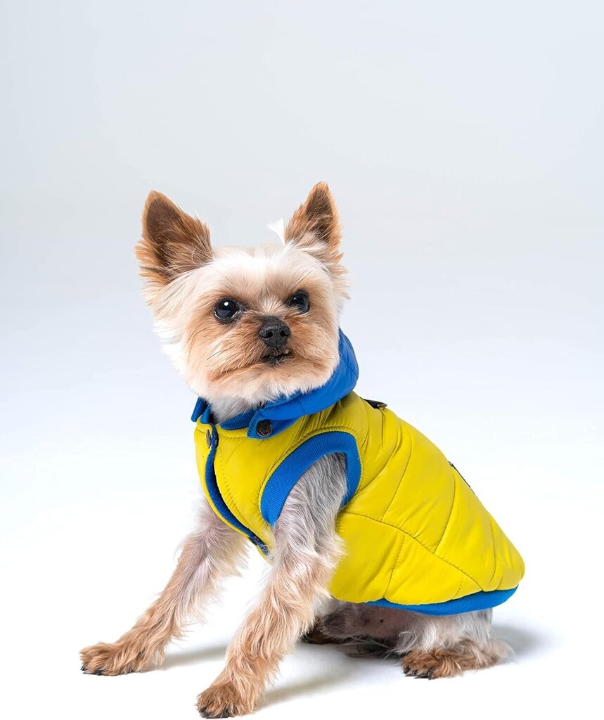 Kombinezoni maziem suņiem Nzo, dzeltens/zils cena un informācija | Apģērbi suņiem | 220.lv