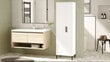 Skapis Asir, 50,4x165x35,7cm, balts cena un informācija | Vannas istabas skapīši | 220.lv