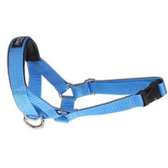 Намордник Amiplay Halter Basic S N2 Foxterrier, синий, 13-26x25-41x2 см цена и информация | Ошейники, подтяжки для собак | 220.lv