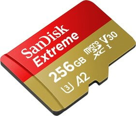 SanDisk Extreme microSDXC card for Mobile Gaming 256GB to 190MB/s & 130MB/s цена и информация | Карты памяти для фотоаппаратов | 220.lv