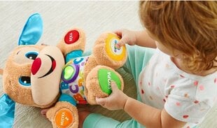 Plīša rotaļlieta Fisher-Price un plīša spilvens Cat, 50 cm cena un informācija | Rotaļlietas zīdaiņiem | 220.lv