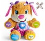 Interaktīvs kucēns Fisher-Price un plīša spilvens Cat, 50 cm цена и информация | Rotaļlietas zīdaiņiem | 220.lv