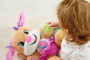 Interaktīvs kucēns Fisher-Price un plīša spilvens Cat, 50 cm cena un informācija | Rotaļlietas zīdaiņiem | 220.lv