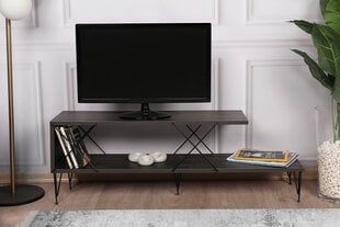 TV statīvs Asir, 120x40x30cm, tumši brūns cena un informācija | TV galdiņi | 220.lv