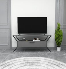 TV statīvs Asir, 124x54x35cm, pelēks cena un informācija | TV galdiņi | 220.lv