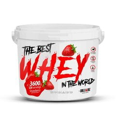 Протеин GorillaLabz Best Whey, 3600 г, шоколад цена и информация | Протеин | 220.lv