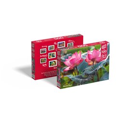 Пазл CherryPazzi Pink Lotus flowers 500 дет. цена и информация | Пазлы | 220.lv