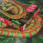 Puzle CherryPazzi Incredible Iguana 500 d. cena un informācija | Puzles, 3D puzles | 220.lv