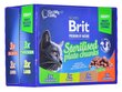 Brit Premium komplekts sterilizētiem kaķiem, 12x100 g cena un informācija | Konservi kaķiem | 220.lv