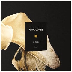 Парфюмированная вода Amouage Gold EDP для мужчин, 100 мл цена и информация | Мужские духи | 220.lv