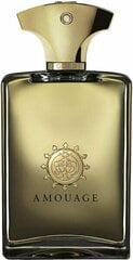 Парфюмированная вода Amouage Gold EDP для мужчин, 100 мл цена и информация | Мужские духи | 220.lv