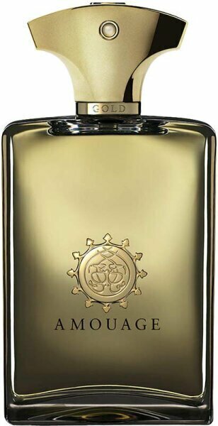 Parfimērijas ūdens Amouage Gold EDP vīriešiem, 100 ml цена и информация | Vīriešu smaržas | 220.lv