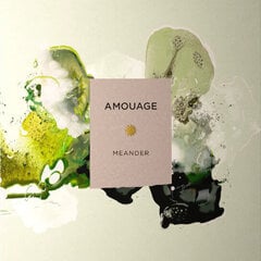 Парфюмерная вода Amouage Meander EDP для женщин, 100 мл цена и информация | Женские духи | 220.lv