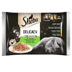 Sheb Fine Flakes in Jelly komplekts ar gaļu un zivīm, 13x4x85g cena un informācija | Sheba Zoo preces | 220.lv