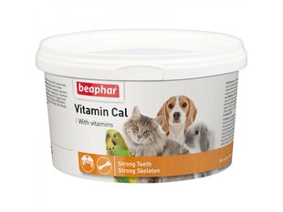 Vitamīni Beaphar Cal, 250gr. cena un informācija | Vitamīni, uztura bagātinātāji, pretparazītu līdzekļi kaķiem | 220.lv