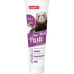 Кормовая добавка Beaphar Duo Active Paste Ferret, 100 г цена и информация | Витамины, пищевые добавки, анти-паразит продукты для собак | 220.lv