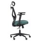 2-u krēslu komplekts Wood Garden Carmen 7567, melns/zaļš cena un informācija | Biroja krēsli | 220.lv
