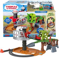 Trases komplekts Fisher-Price цена и информация | Конструктор автомобилей игрушки для мальчиков | 220.lv